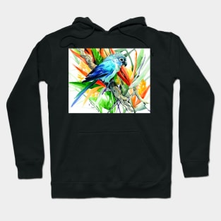 Parrot and Tropical Foliage, Tropical Colors Hoodie